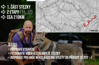 Vlci na cestách - Stezka Českem